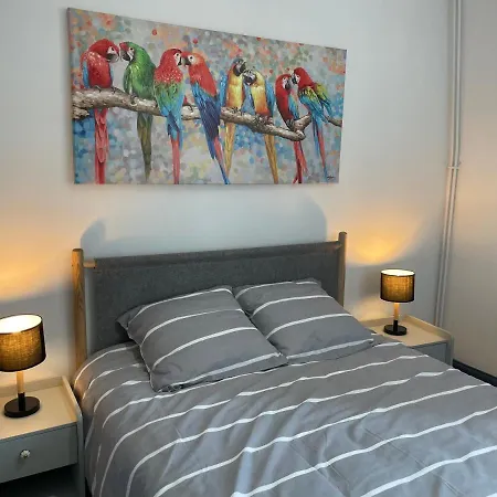Duplex Renove Quartier Apartment